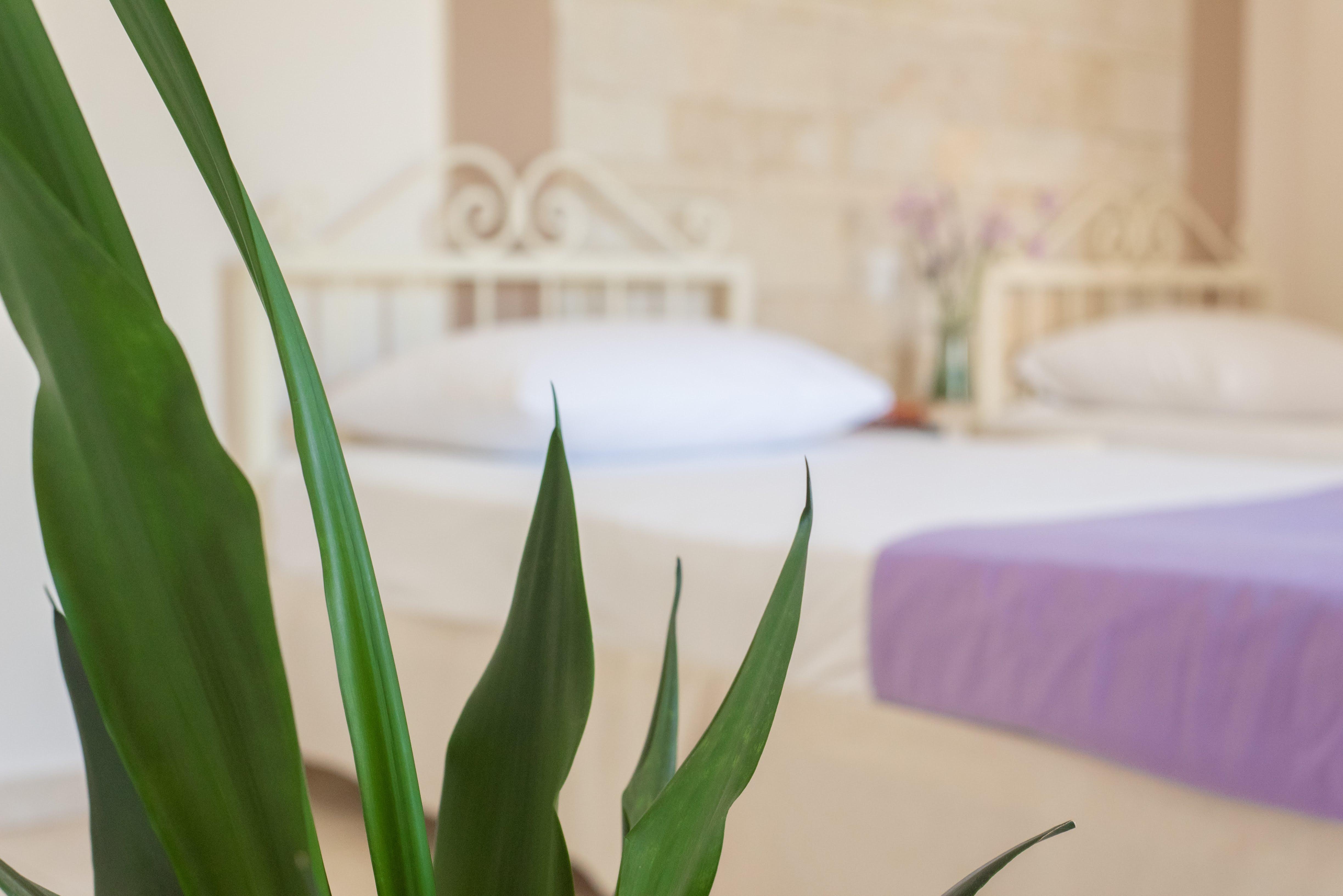 Ilios Malia Hotel Resort Luaran gambar